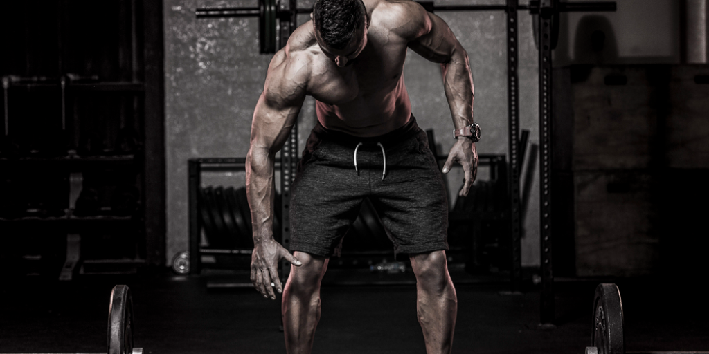 A bodybuilder might bulk up by eating a high calorie diet and lifting heavy weights.