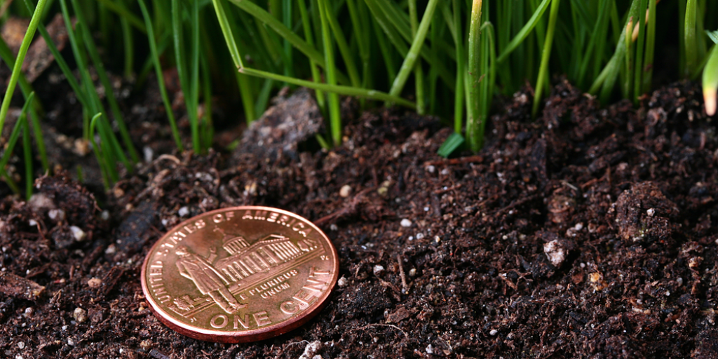 A U.S. penny on the ground